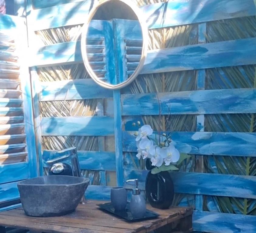 维琪奥港Domaine Authentique de Rose的蓝色的客房配有镜子和桌子