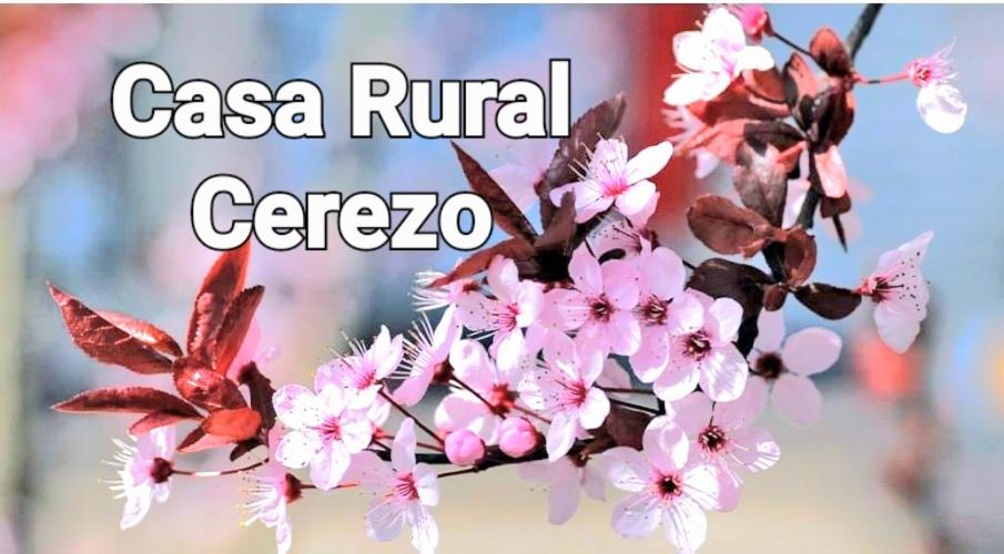 穆尔西亚ALOJAMIENTO RURAL CEREZO的一种标志,上面写着凯拉农村公墓的粉红色花卉