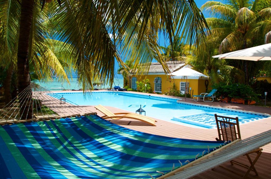 路易港毛里求斯阿娜考别墅酒店的一个带吊床和棕榈树的大型游泳池