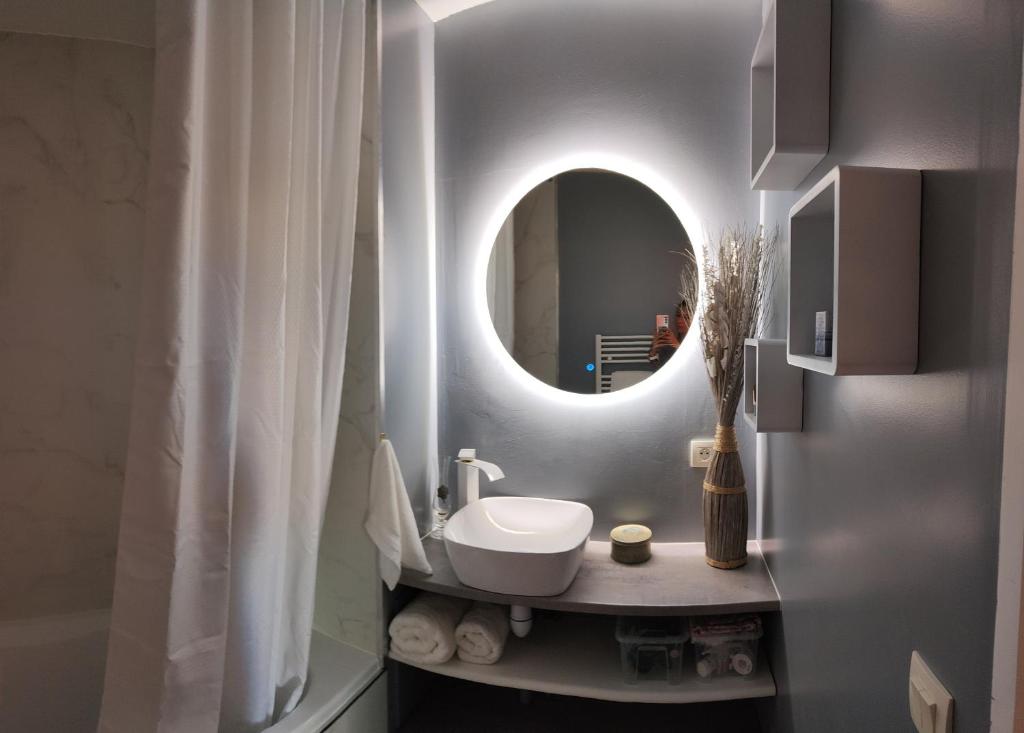 布吕热Le Manhattan 3*, Lumineux , calme vue sur le lac的一间带水槽和镜子的浴室