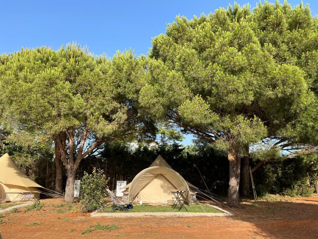 Glamping La Mimosa CONIL平面图