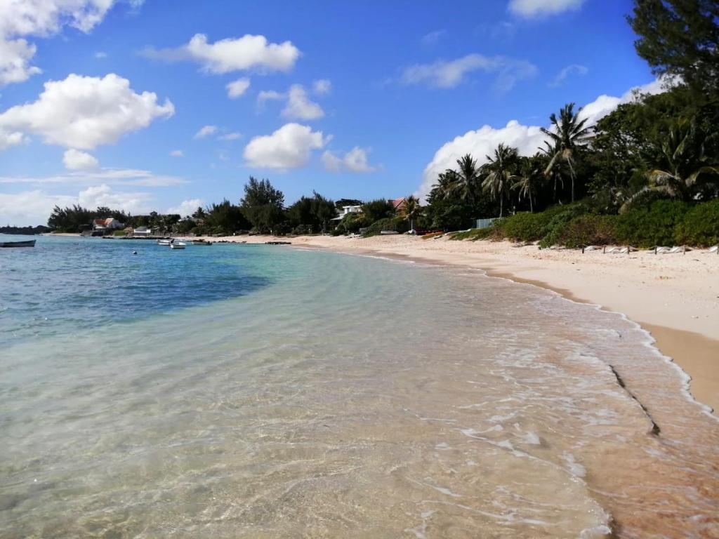 康隆尼角Tropical Palms apartment Mauritius的一片拥有清澈海水和棕榈树的海滩