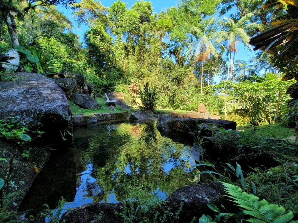 乌巴图巴Entre o Mar e a Floresta Casa das Pedras的花园中种有树木的池塘