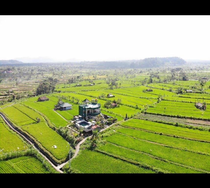 Tirtagangga谷米巴厘旅馆的田野房屋的空中景观