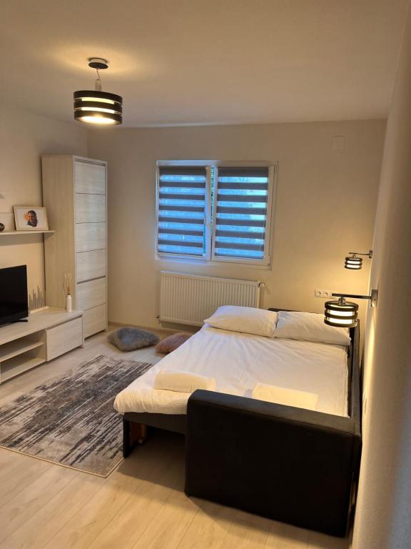 索瓦塔Barney Apartman的一间卧室设有一张大床和一个窗户。