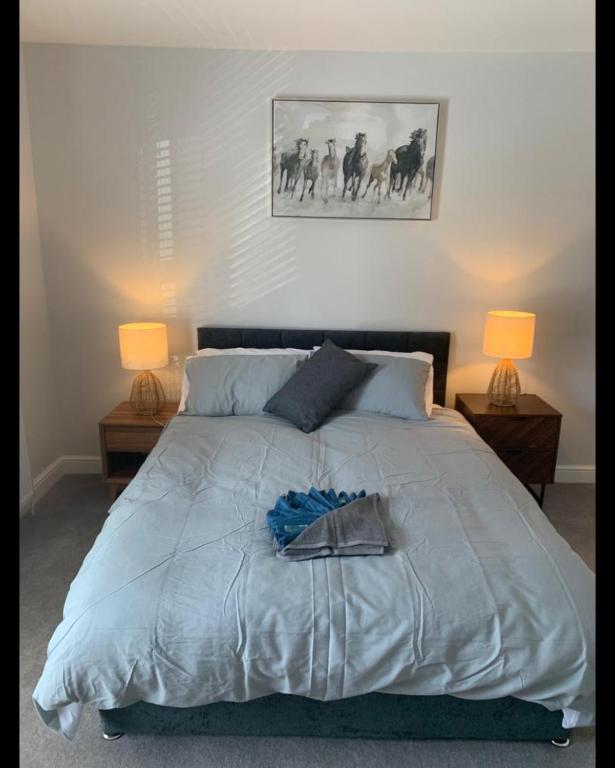 拉格比Beautiful Room in Apartment near Town Centre的一间卧室配有一张大床和两盏灯