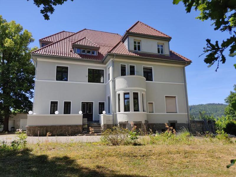 策拉-梅利斯Parkvilla Köhler的一座大型白色房屋,设有红色屋顶