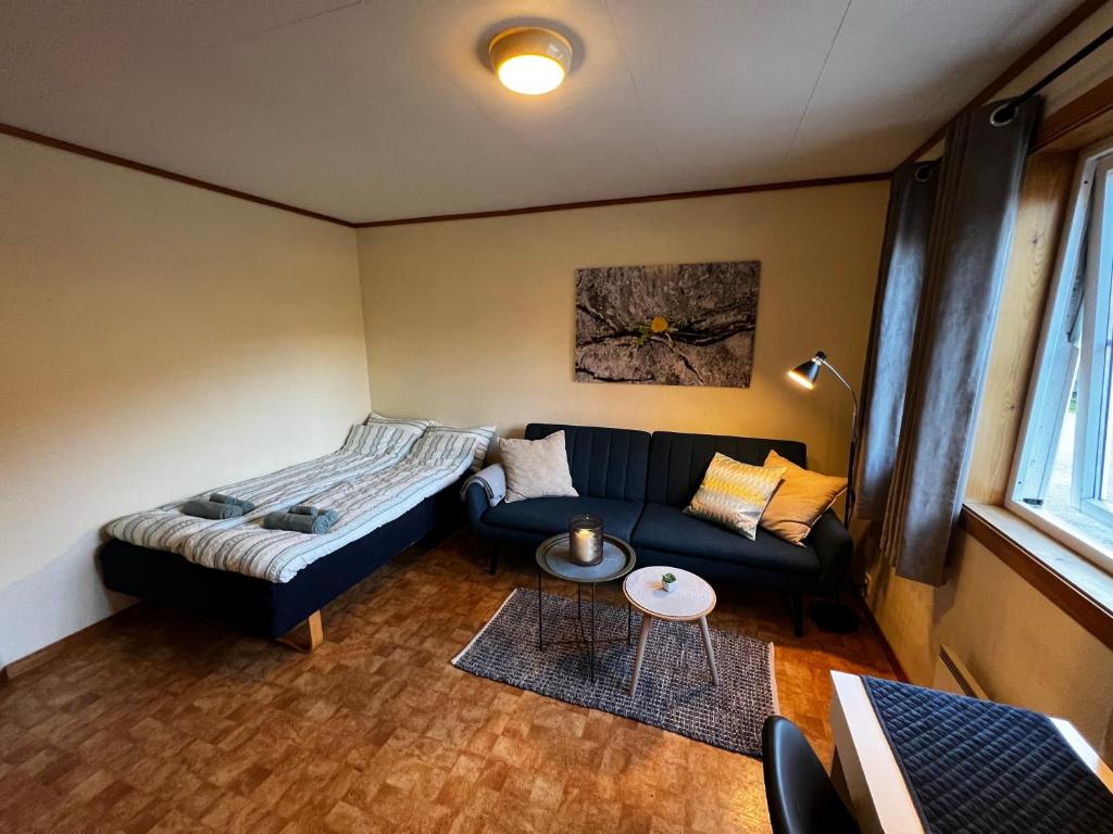 松达尔Privat rom i leilighet的客厅配有沙发和1张床
