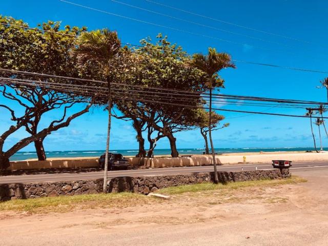 HauulaOcean Front ~*的一条毗邻树木和海洋的海滩的道路