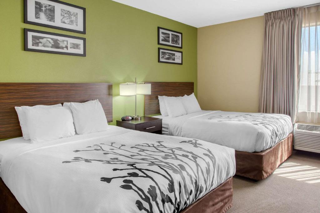 贝克斯菲尔德Sleep Inn & Suites Bakersfield North的酒店客房设有两张床和窗户。