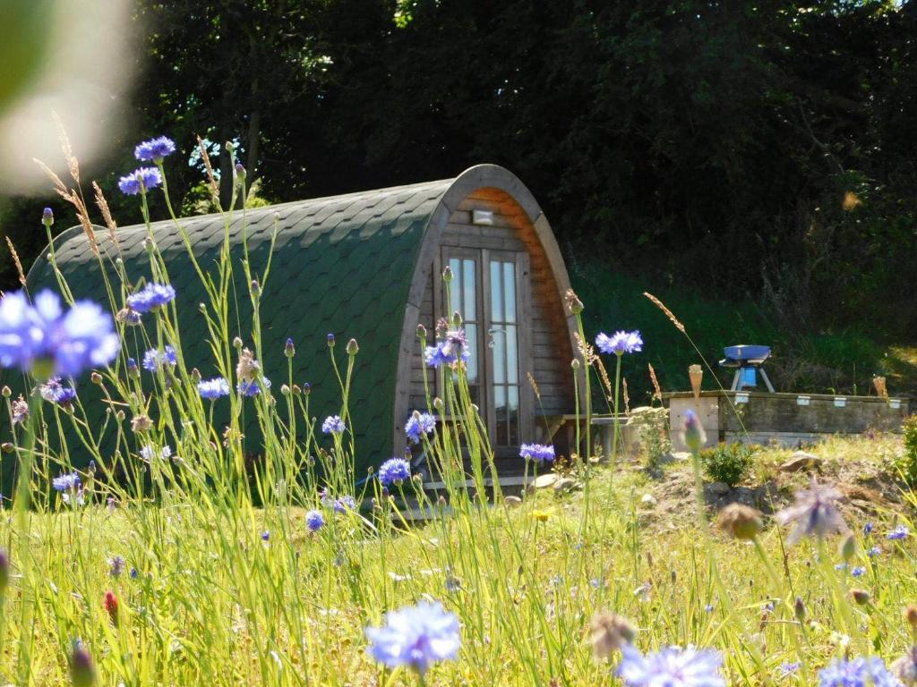 奥马Cosy Pod-Cabin near beautiful landscape in Omagh的花田中的一个小房子