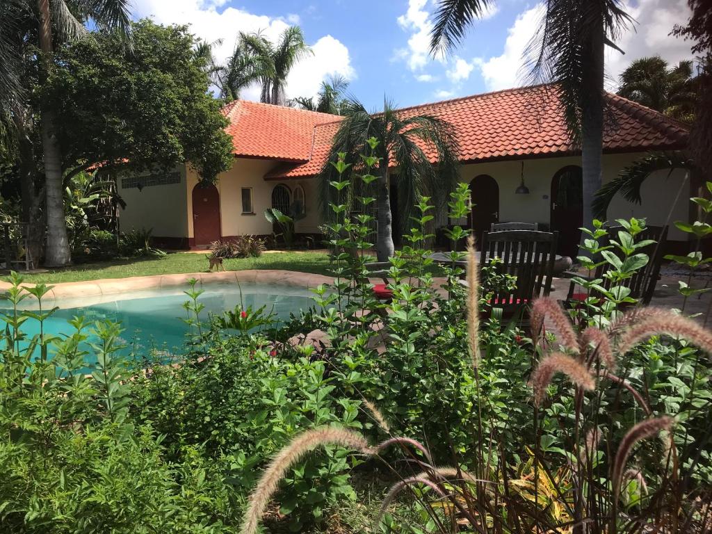 JulianadorpB&B Villa Zomerland的庭院中带游泳池的房子