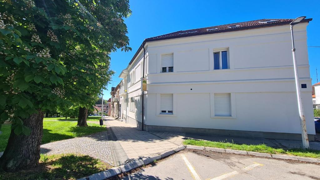 达鲁瓦尔Rooms with a parking space Daruvar, Bjelovarska - 18842的人行道旁的白色建筑,有树