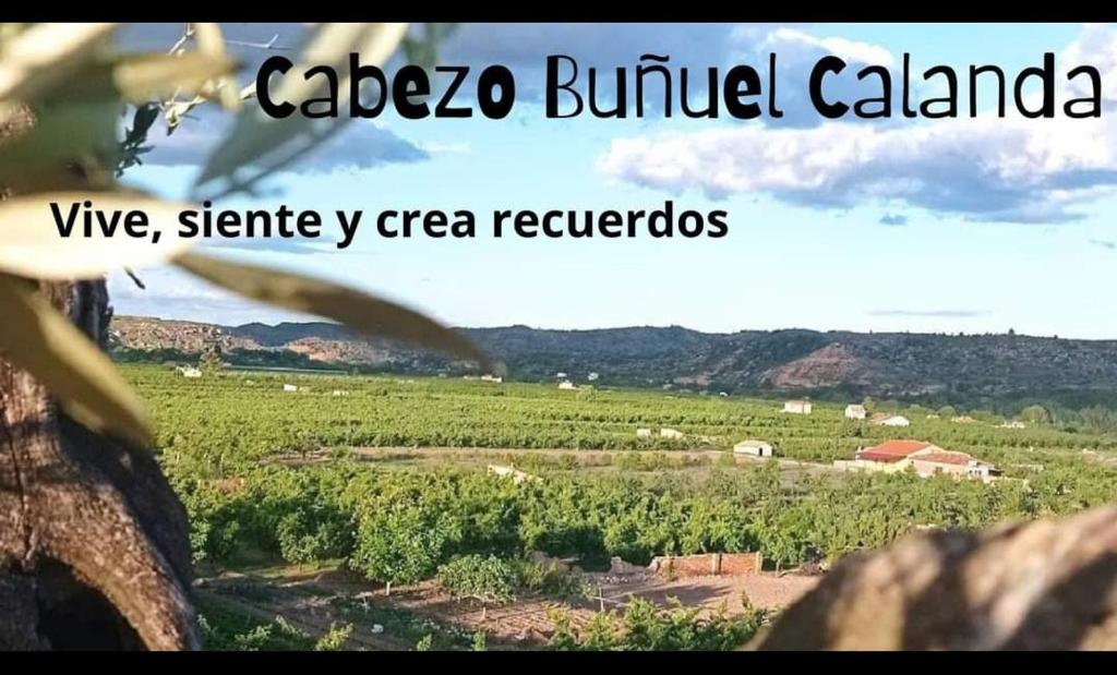 卡兰达Cabezo Buñuel Hostal的农作物田地的景观,用卡扎萨弹头的卡兰德