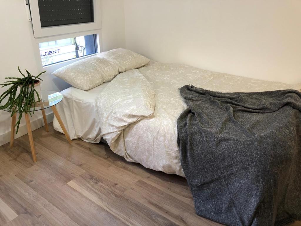 卢戈Apartamentos CANDEA的一间卧室配有一张床和一张植物桌子