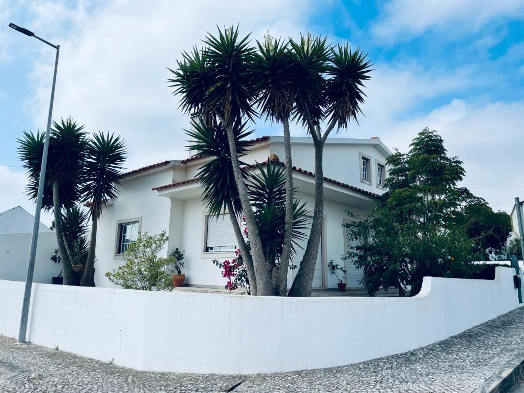 奥比多斯Casa do Canto - Uma casa no campo, perto da praia.的一座棕榈树掩映的白色房子