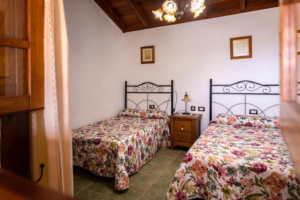 BenchijiguaCasa Rural La Palizada的一间带两张床和梳妆台的卧室