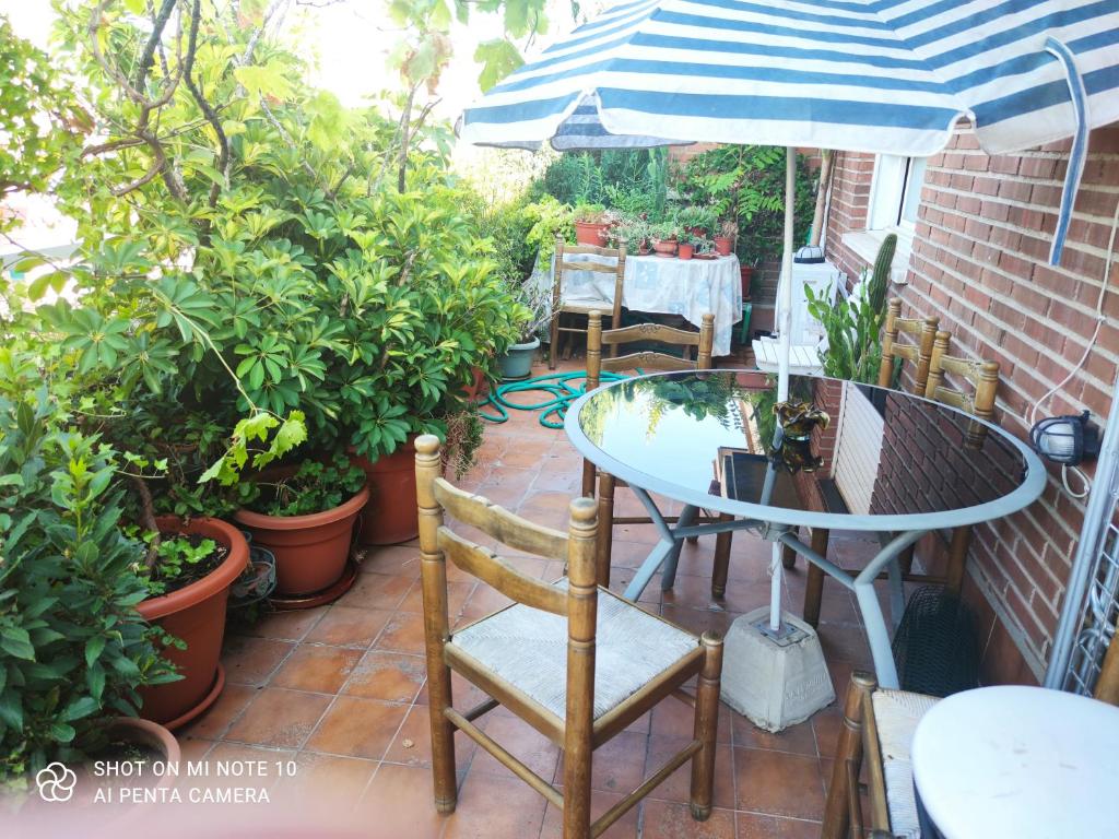 马德里Habitación MV的庭院配有桌椅和植物