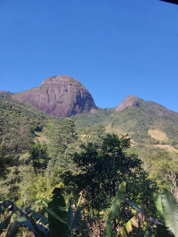 新弗里堡Lumiar Eco Lodge - Chalé Pedra Riscada的林中山林中的树木