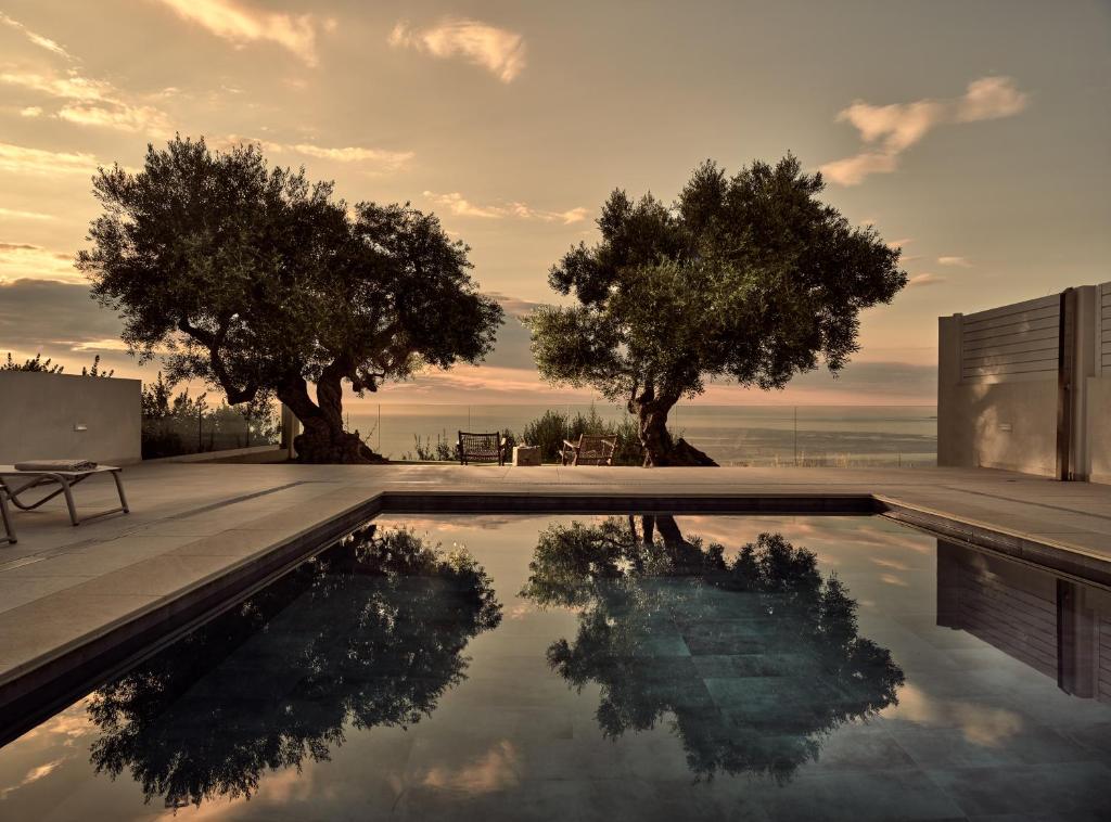 阿克罗蒂Stelle Mare Villa的水中两棵树的游泳池