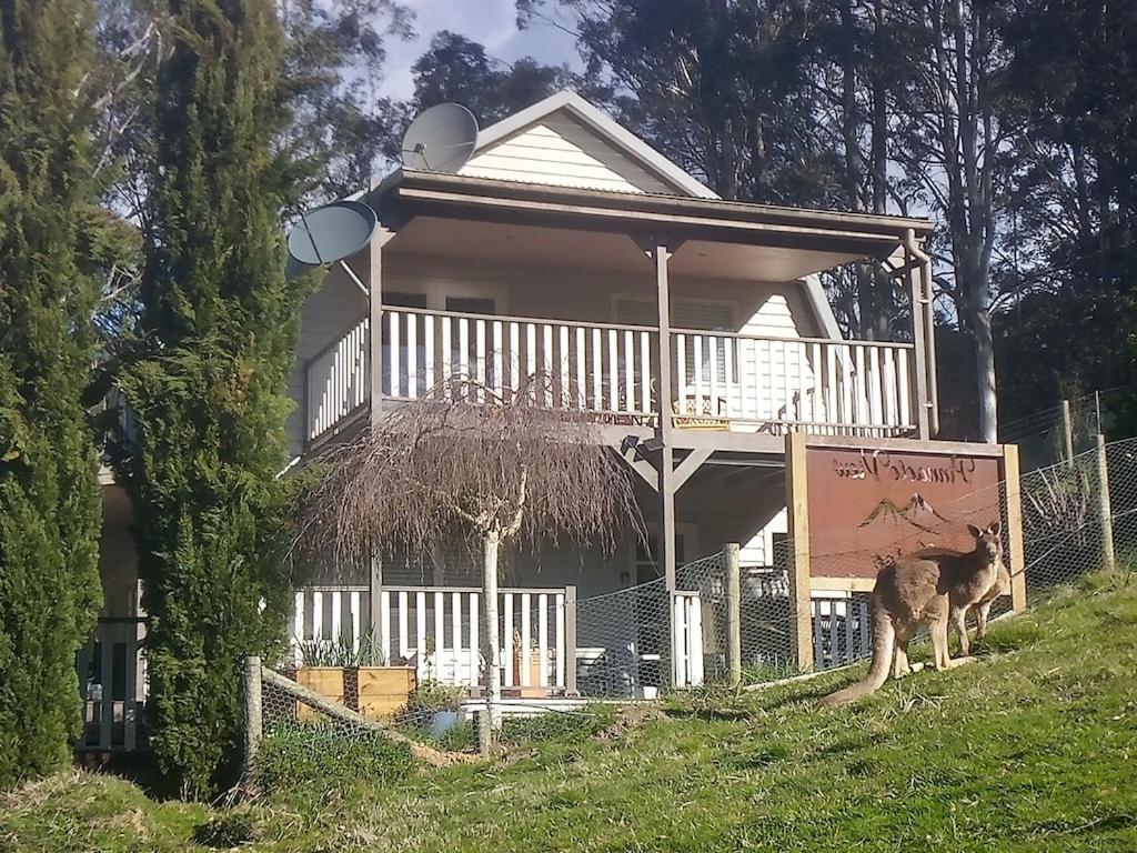 默立基Beautiful Dutch Barn style country house in Merrijig (base of Mt Buller).的站在房子前面的狗