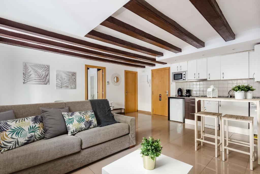 巴塞罗那Lodging Apartments Liceu 11的带沙发的客厅和厨房