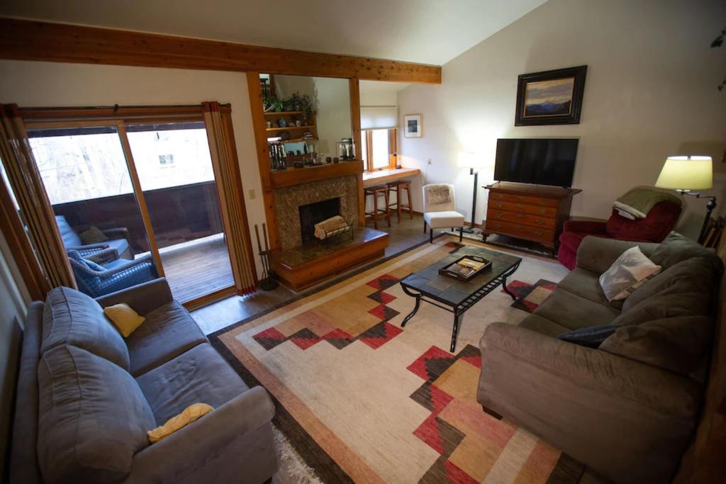 威尔森Lake Creek 1323的带沙发和壁炉的客厅