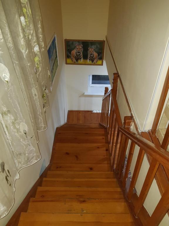 阿拉木图Hostel 888的楼梯,房子里,有木地板和窗户