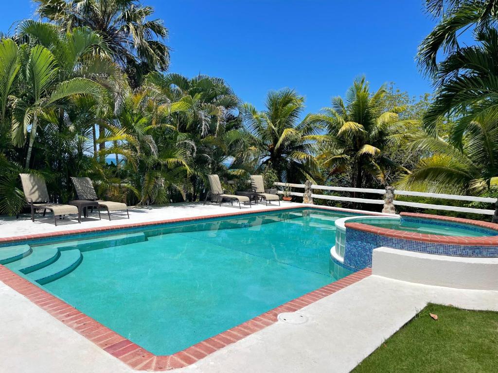 圣卡洛斯Kasi at Paradise的一座棕榈树环绕的游泳池