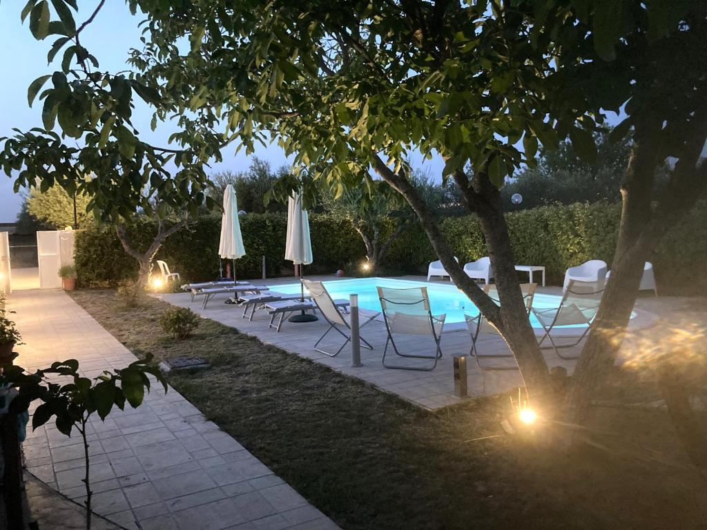 马泰拉Villa Mater的树旁带椅子和遮阳伞的游泳池