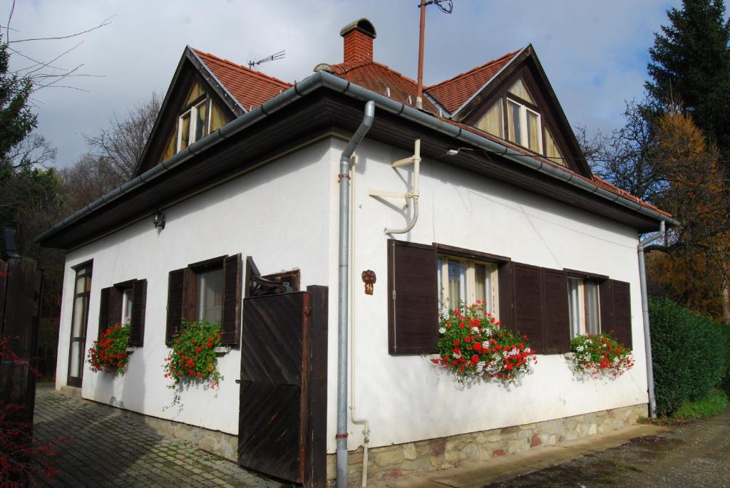 韦莱姆Boróka Apartmanházak - Fagyöngy House的白色房子,窗户上有鲜花