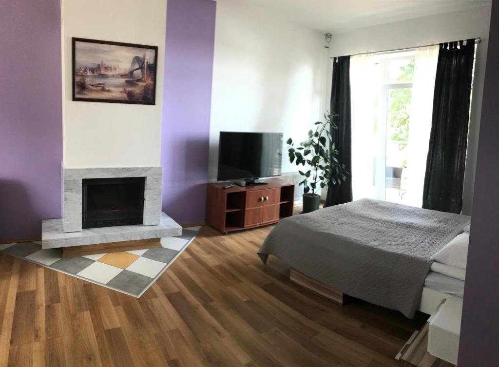 LilasteLilaste.eu的一间卧室配有一张床、一个壁炉和一台电视。