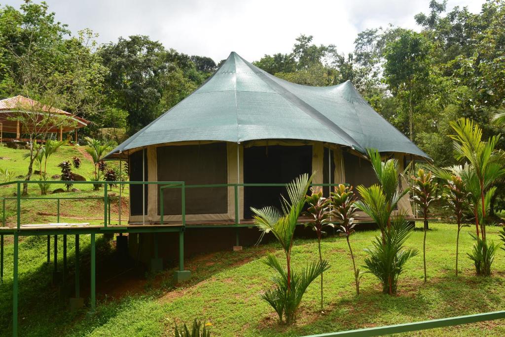 乌维塔Manoas的树木林立的小帐篷