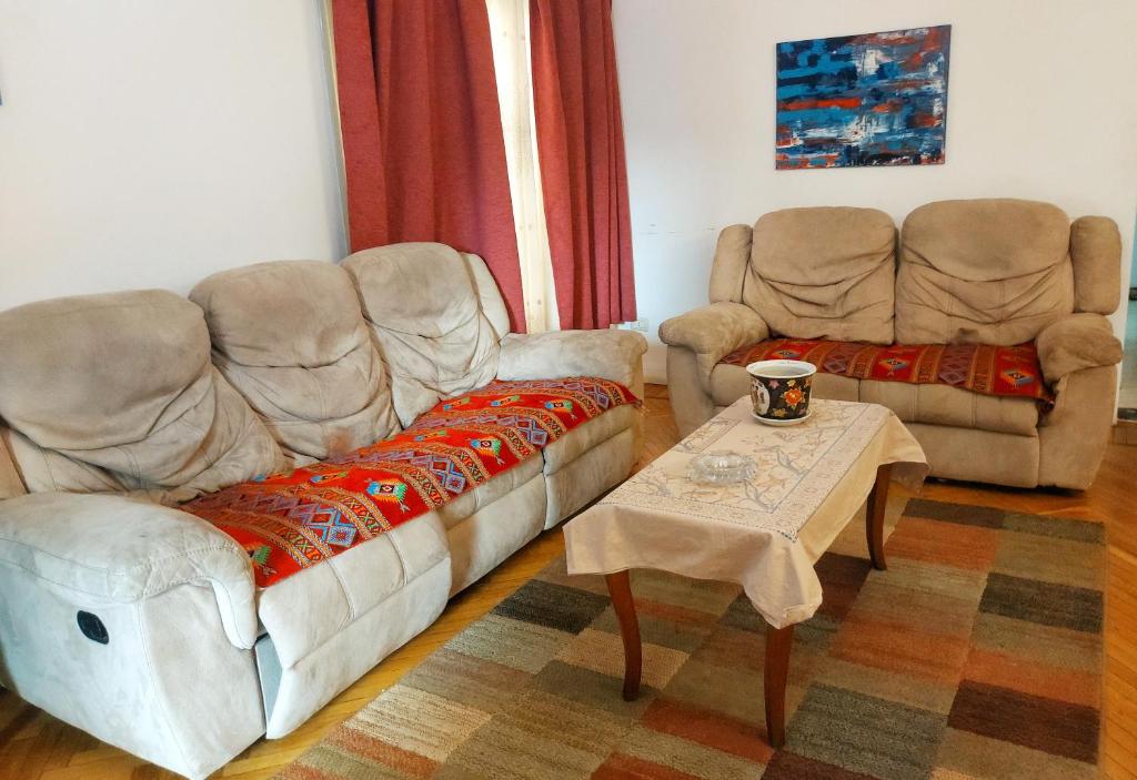 开罗Jessy Charming apartment in Heliopolis的客厅配有两张沙发和一张咖啡桌