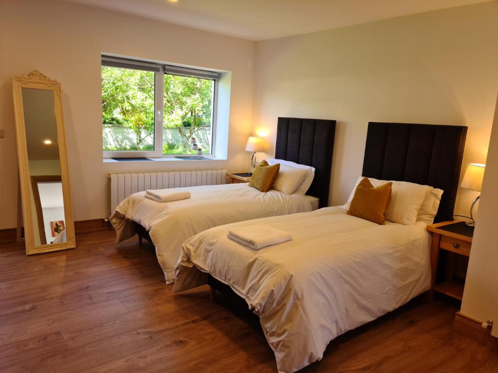 基拉尼Ard Kielin Apartment Luxury 2 bedroom in Killarney的配有窗户的酒店客房内的两张床