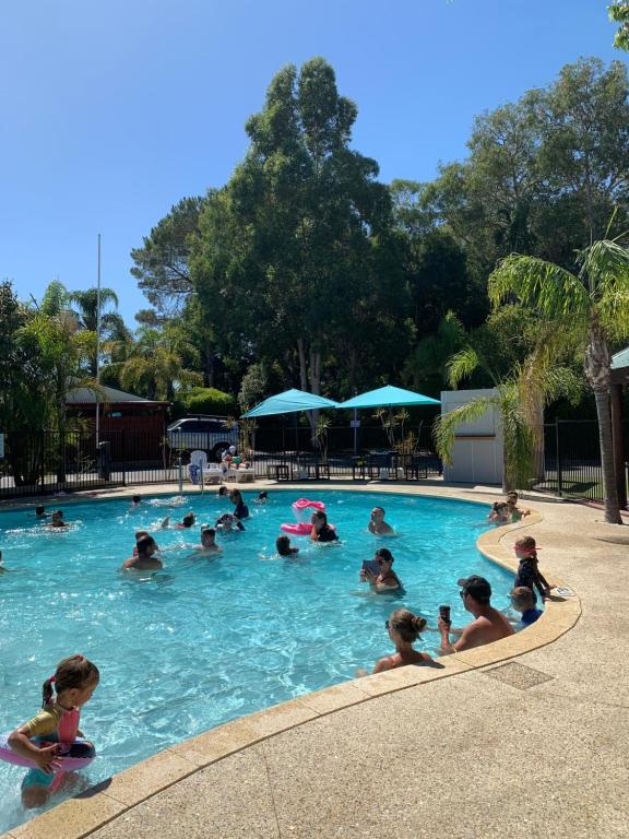 曼哲拉曼哲拉旅游公园活动房屋旅馆的一群人在游泳池里