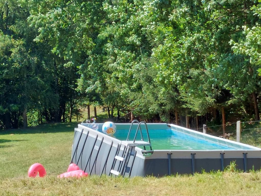 OrnetaEkolandia的院子里的游泳池,里面装有球