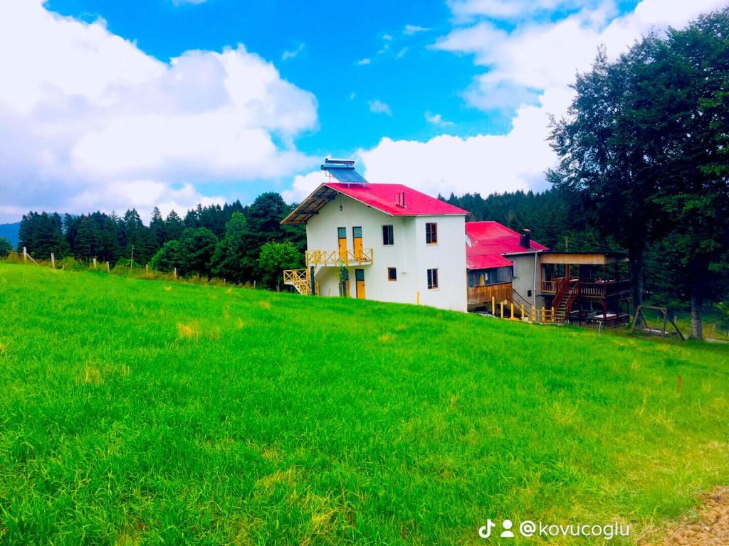 特拉布宗ACISU CAFE KONAKLAMA的绿色山丘上一座白色房子,屋顶红色