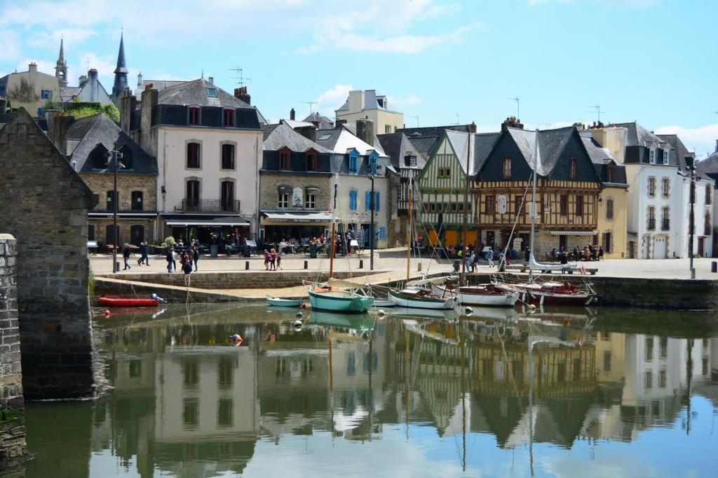 欧赖Très bel Appartement avec superbe vue sur le Port de Saint Goustan的水中和建筑物中都有船只的城市