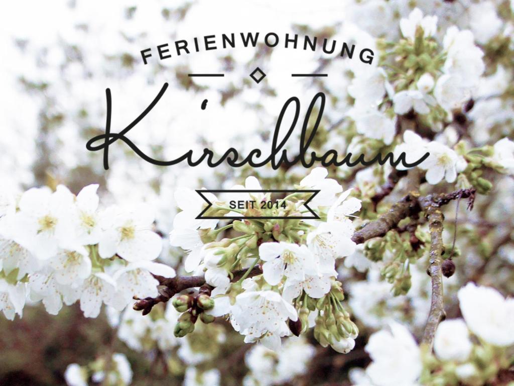 鲁斯特Ferienwohnung Kirschbaum公寓 的一张有白色花的树的照片