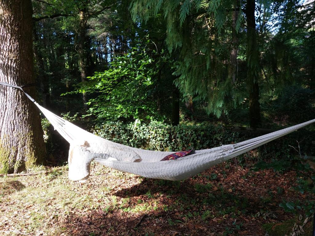 TreignacDormir au bord de la Vézère的森林中树上的白色吊床