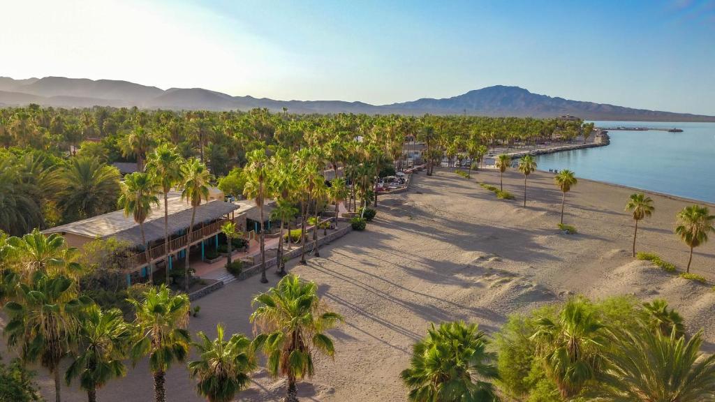 洛雷托绿洲酒店的棕榈树海滩的空中景致