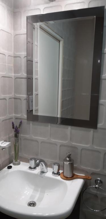 内乌肯DEPARTAMENTO AMOBLADO NEUQUEN 2的浴室设有白色水槽和镜子