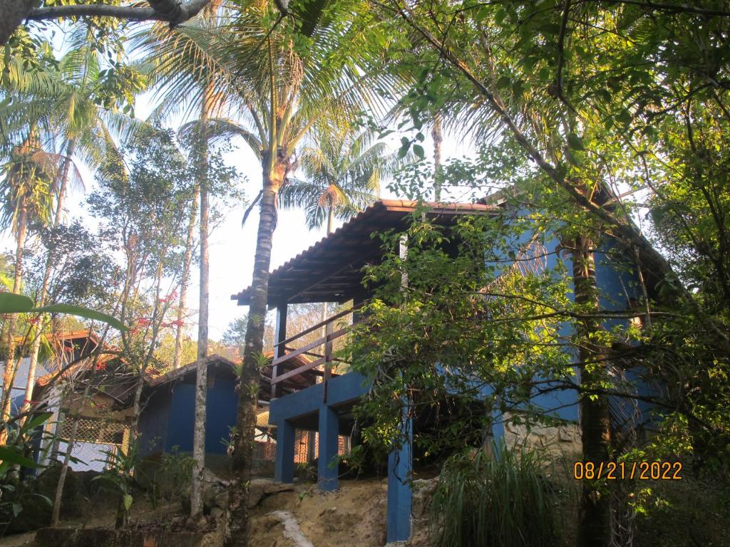 佩尼多Janela dos Meus Sonhos的棕榈树丛林中的蓝色房子