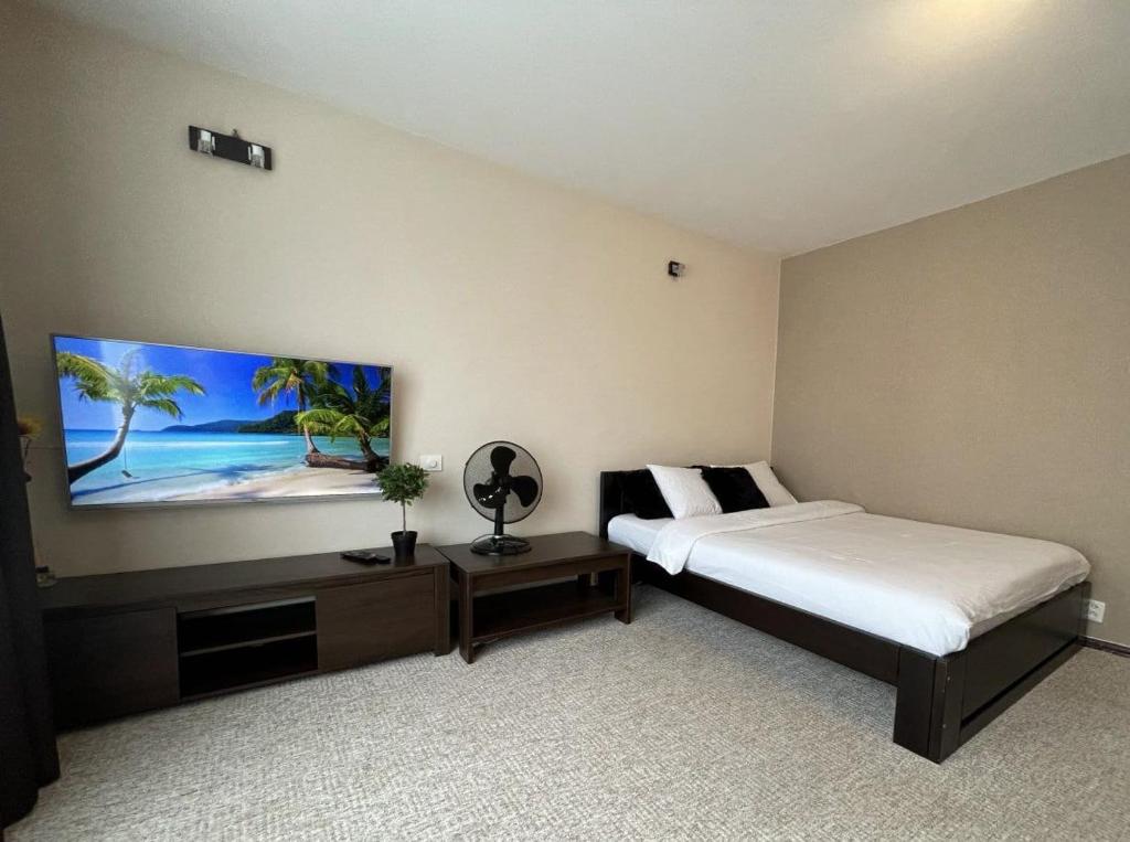 瓦尔米耶拉Z - apartment的一间卧室配有一张床和一台平面电视