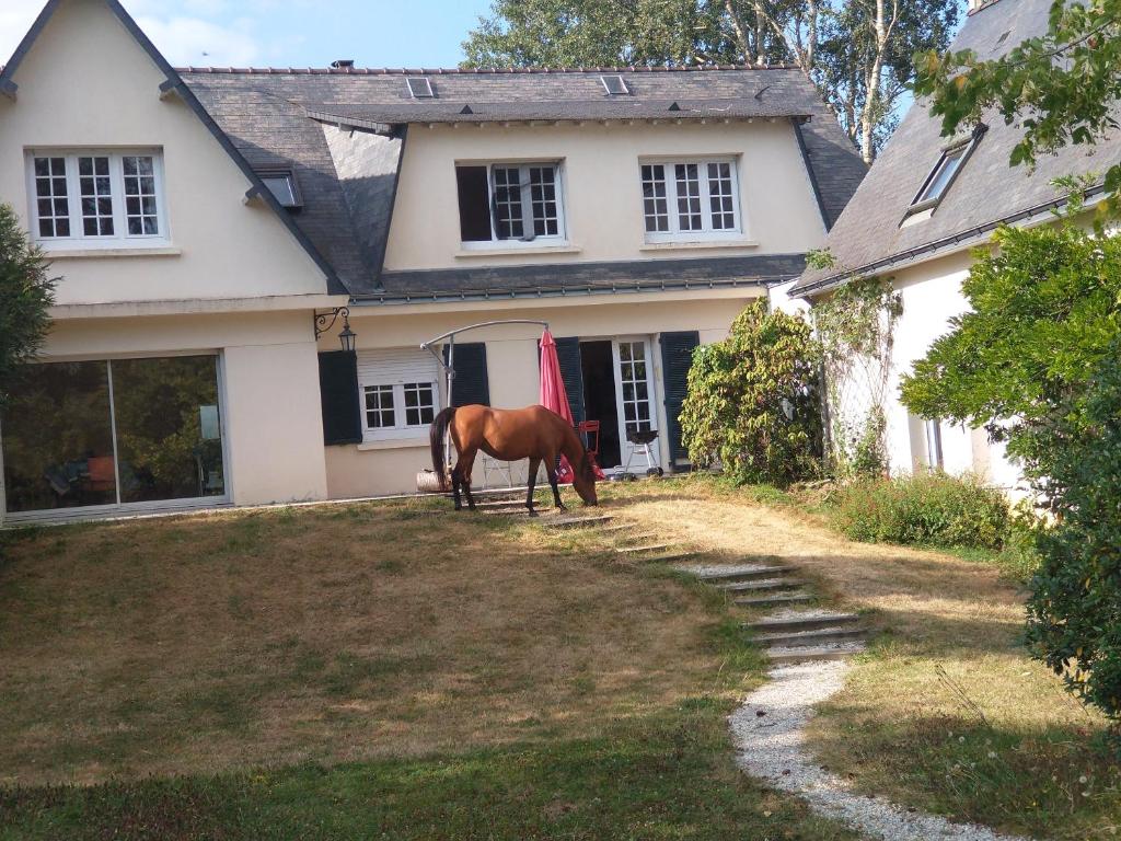 圣锡尔万当茹La Fantasia的牧马在房子前放牧