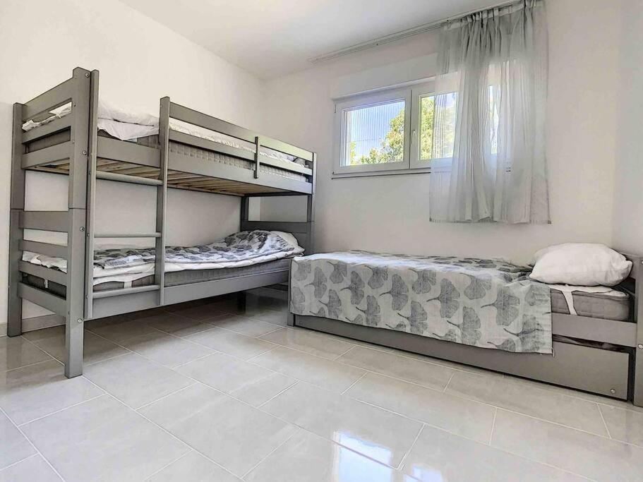 圣路易La villa petite Camargue的一间卧室设有两张双层床和一扇窗户。