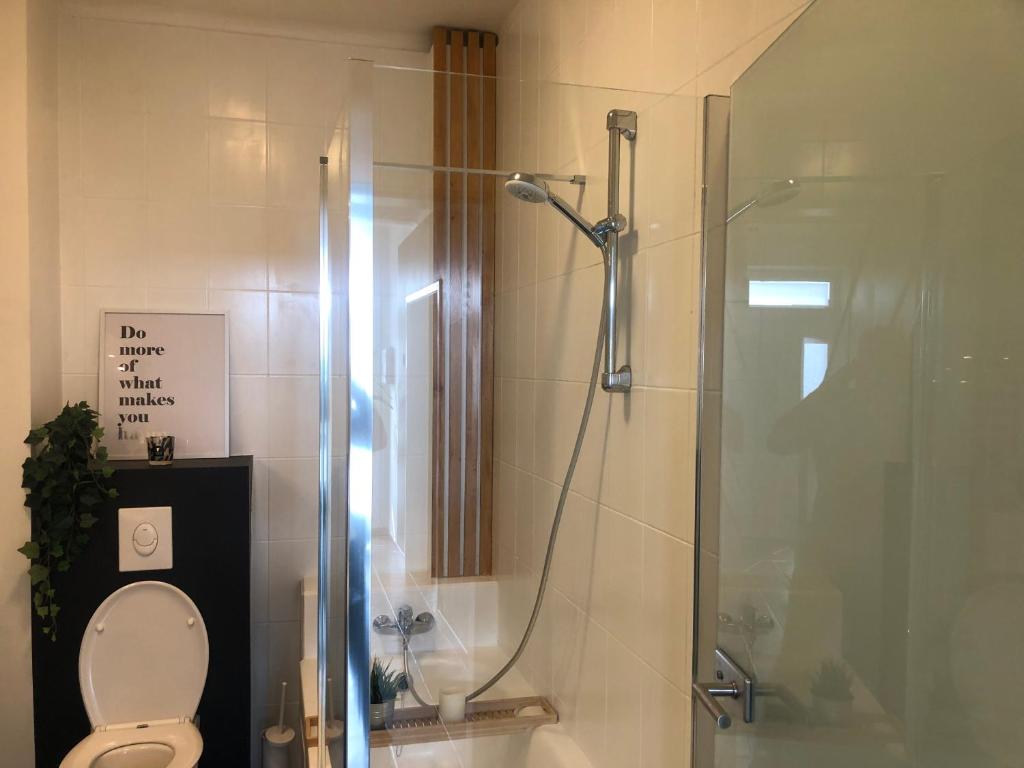 巴斯托涅La villa Bastogne chambre d'hôtes 2的带淋浴、卫生间和玻璃淋浴间的浴室