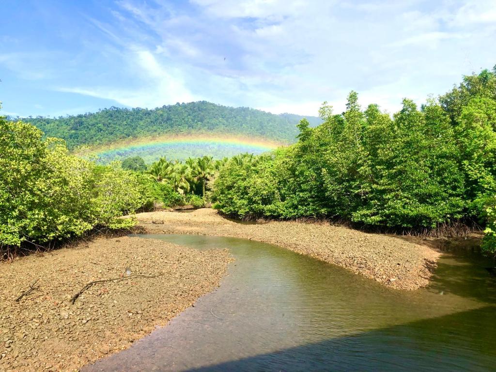 象岛阁昌岛班查蕾度假村的树 ⁇ 的河上空的彩虹