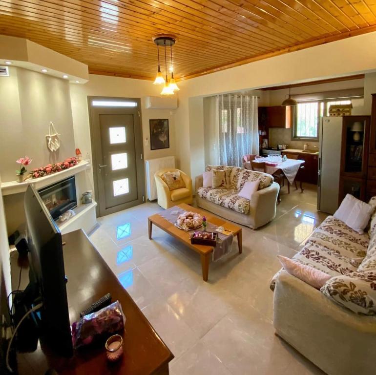 LagópodhonMalatadas apartment的客厅配有沙发和电视。